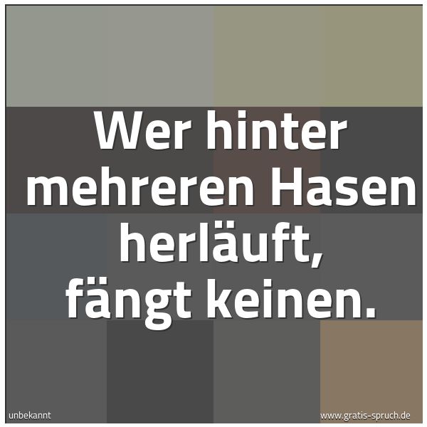 Quadratisches Spruchbild: Wer hinter mehreren Hasen herläuft, fängt keinen.