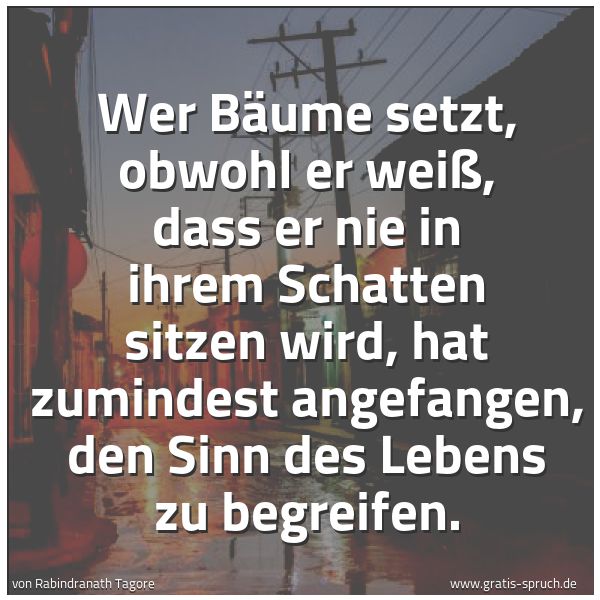 Quadratisches Spruchbild: Wer Bäume setzt, obwohl er weiß, dass er nie in ihrem Schatten sitzen wird, hat zumindest  …