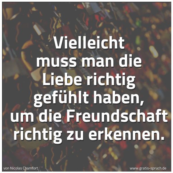 Quadratisches Spruchbild: Vielleicht muss man die Liebe richtig gefühlt haben, um die Freundschaft richtig zu erkenn …