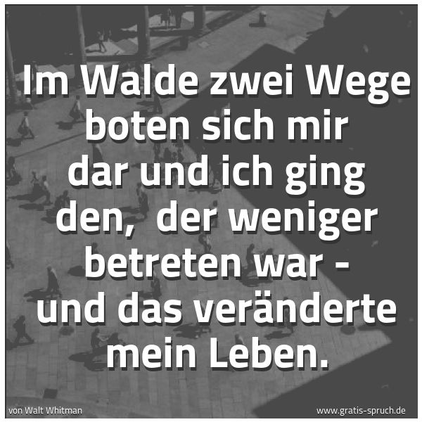 Quadratisches Spruchbild: Im Walde zwei Wege boten sich mir dar und ich ging den,  der weniger betreten war - und da …