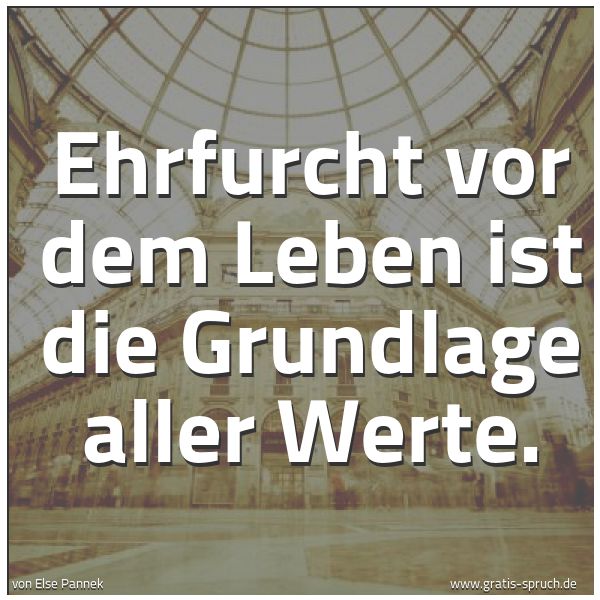 Quadratisches Spruchbild: Ehrfurcht vor dem Leben ist die Grundlage aller Werte.
