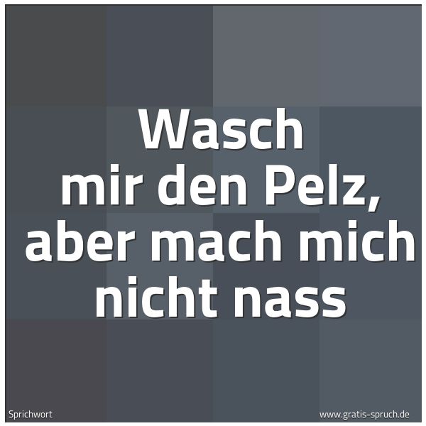 Quadratisches Spruchbild: Wasch mir den Pelz, aber mach mich nicht nass