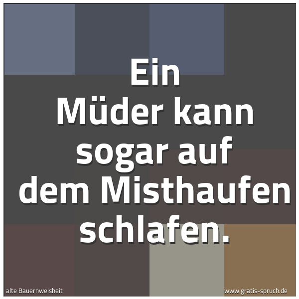 Quadratisches Spruchbild: Ein Müder kann sogar auf dem Misthaufen schlafen.