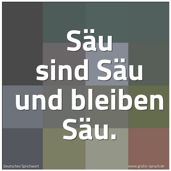 Quadratisches Spruchbild: Säu sind Säu und bleiben Säu.