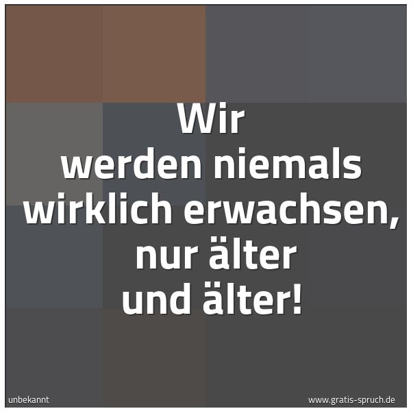 Quadratisches Spruchbild: Wir werden niemals wirklich erwachsen, nur älter und älter!