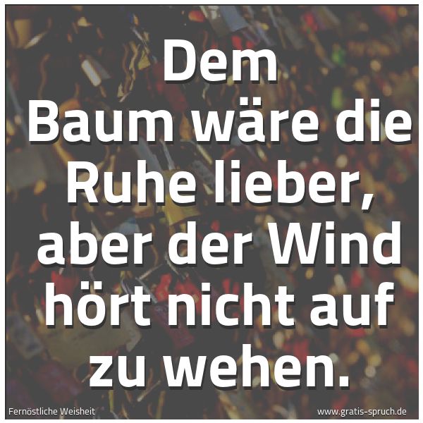 Quadratisches Spruchbild: Dem Baum wäre die Ruhe lieber, aber der Wind hört nicht auf zu wehen.