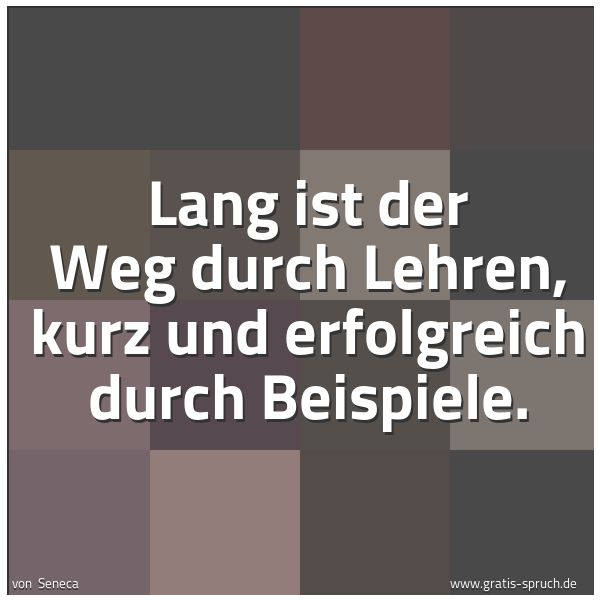 Quadratisches Spruchbild: Lang ist der Weg durch Lehren, kurz und erfolgreich durch Beispiele.
