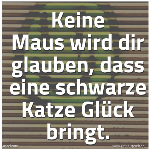 Quadratisches Spruchbild: Keine Maus wird dir glauben, dass eine schwarze Katze  Glück bringt.