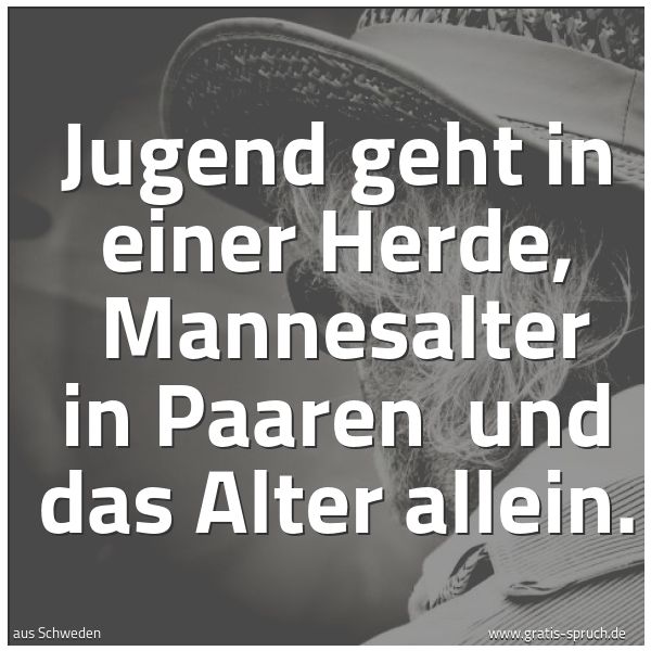 Quadratisches Spruchbild: Jugend geht in einer Herde,  Mannesalter in Paaren  und das Alter allein.