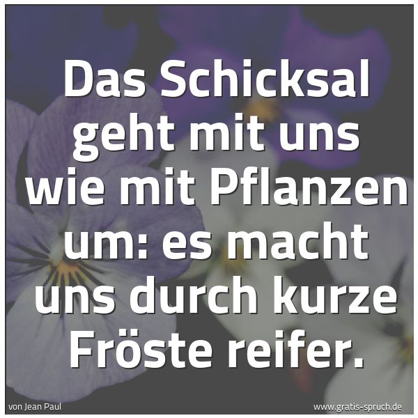 Quadratisches Spruchbild: Das Schicksal geht mit uns wie mit Pflanzen um: es macht uns durch kurze Fröste reifer.