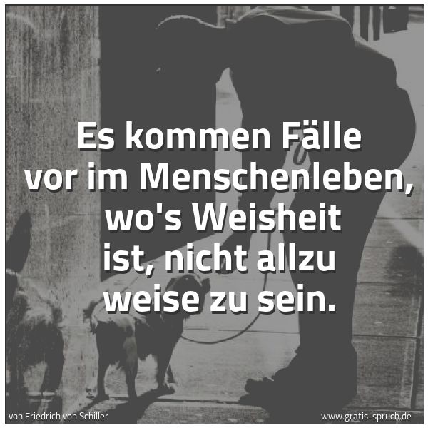 Quadratisches Spruchbild: Es kommen Fälle vor im Menschenleben,  wo's Weisheit ist, nicht allzu weise zu sein.