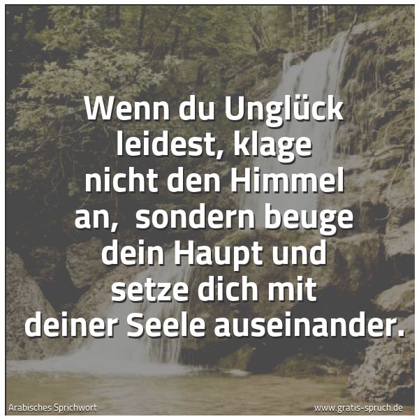 Quadratisches Spruchbild: Wenn du Unglück leidest, klage nicht den Himmel an,  sondern beuge dein Haupt und setze di …