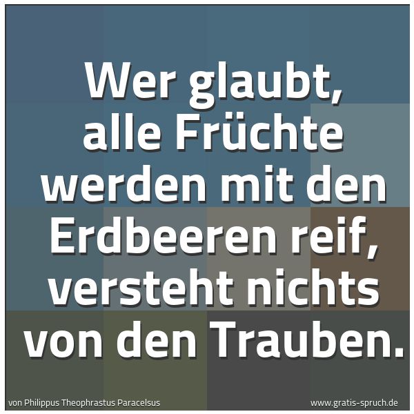 Quadratisches Spruchbild: Wer glaubt, alle Früchte werden mit den Erdbeeren reif, versteht nichts von den Trauben.