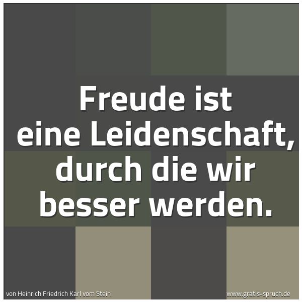 Quadratisches Spruchbild: Freude ist eine Leidenschaft, durch die wir besser werden.