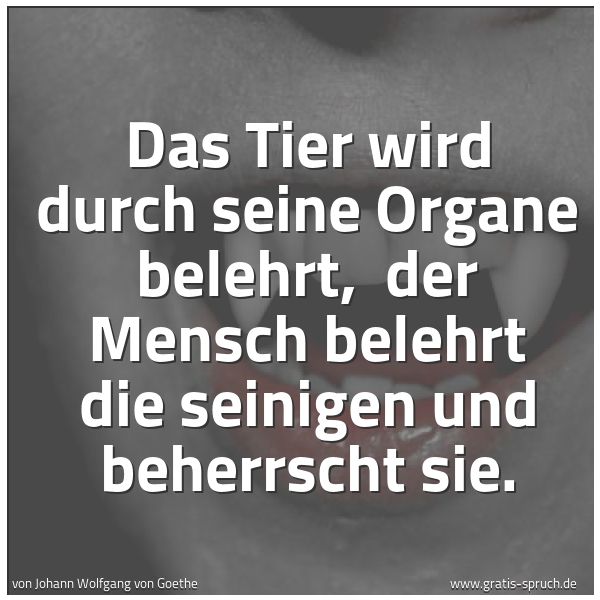 Quadratisches Spruchbild: Das Tier wird durch seine Organe belehrt,  der Mensch belehrt die seinigen und beherrscht  …