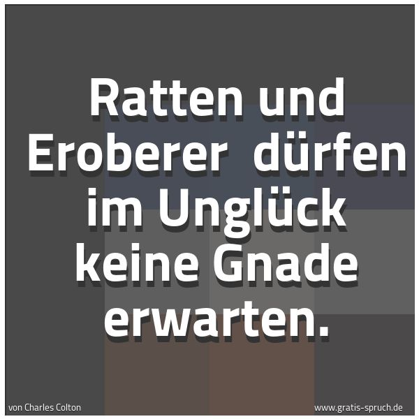 Quadratisches Spruchbild: Ratten und Eroberer  dürfen im Unglück keine Gnade erwarten.