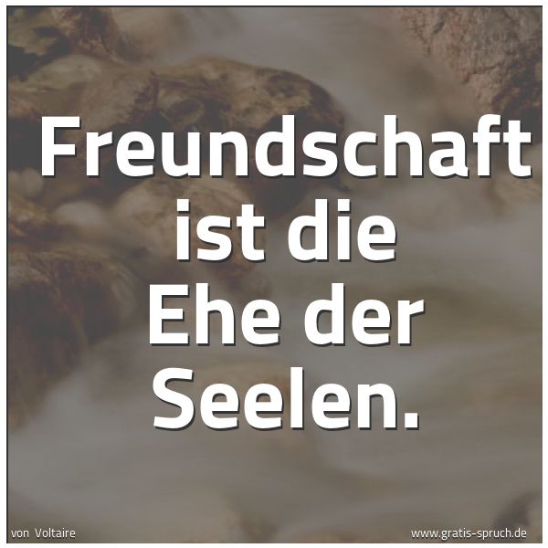 Quadratisches Spruchbild: Freundschaft ist die Ehe der Seelen.