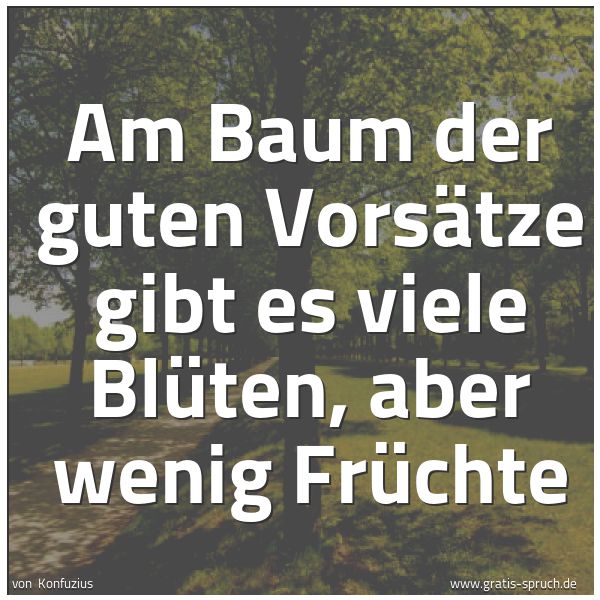 Quadratisches Spruchbild: Am Baum der guten Vorsätze gibt es viele Blüten, aber wenig Früchte