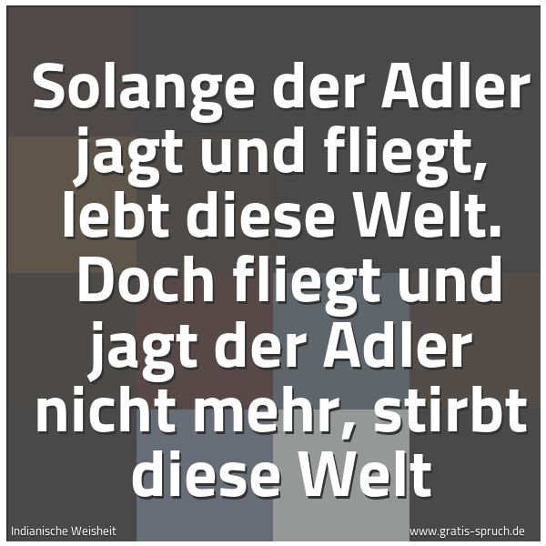 Quadratisches Spruchbild: Solange der Adler jagt und fliegt, lebt diese Welt.  Doch fliegt und jagt der Adler nicht  …