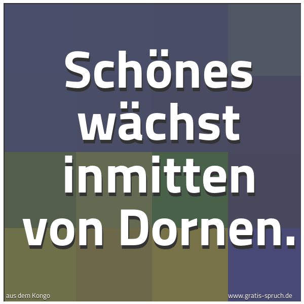 Quadratisches Spruchbild: Schönes wächst inmitten von Dornen.