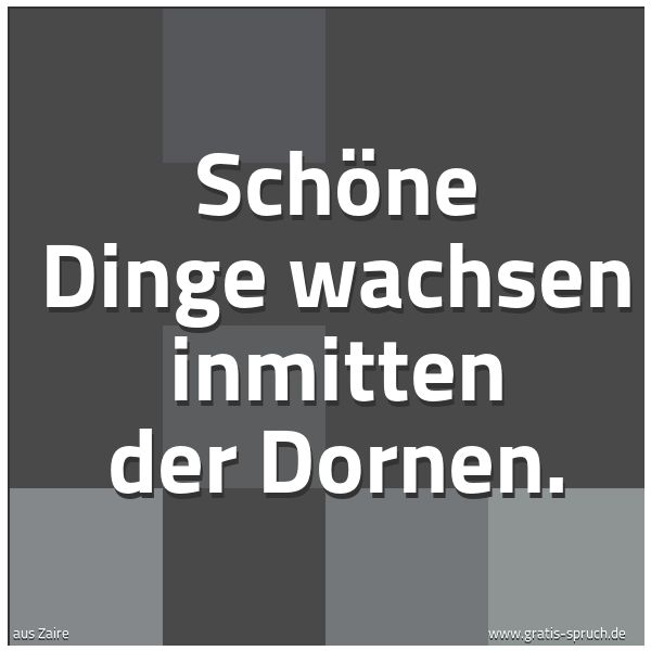 Quadratisches Spruchbild: Schöne Dinge wachsen inmitten der Dornen.