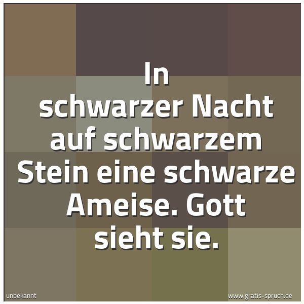 Quadratisches Spruchbild: In schwarzer Nacht auf schwarzem Stein eine schwarze Ameise. Gott sieht sie.