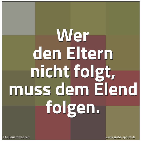 Quadratisches Spruchbild: Wer den Eltern nicht folgt, muss dem Elend folgen.