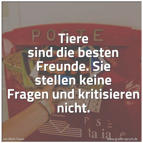 Quadratisches Spruchbild: Tiere sind die besten Freunde. Sie stellen keine Fragen und kritisieren nicht.