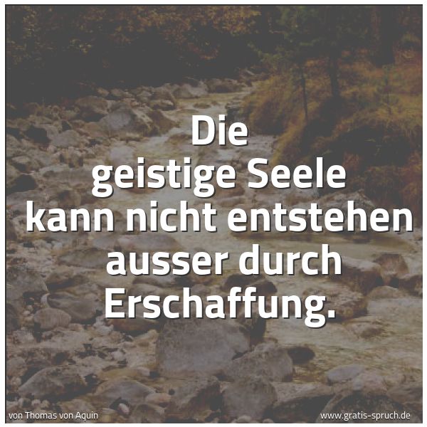 Quadratisches Spruchbild: Die geistige Seele kann nicht entstehen  ausser durch Erschaffung.