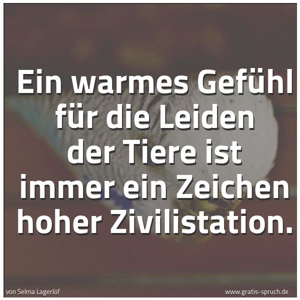 Quadratisches Spruchbild: Ein warmes Gefühl für die Leiden der Tiere ist immer ein Zeichen hoher Zivilistation.