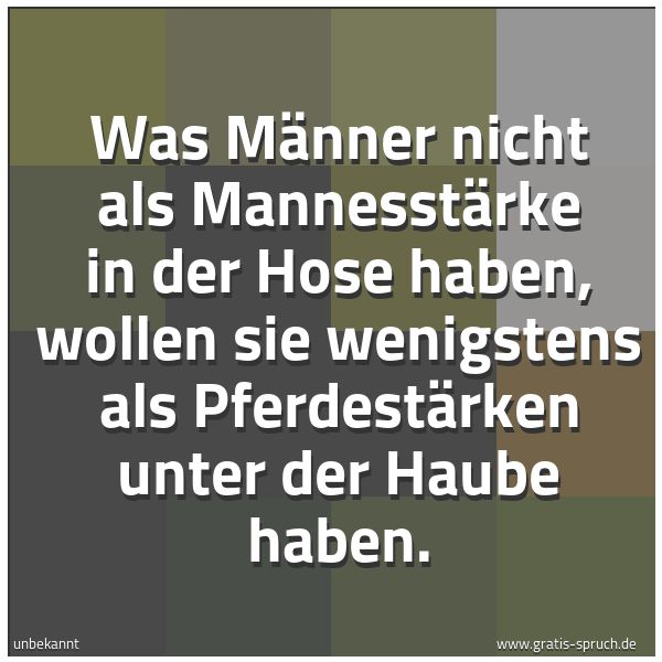 Quadratisches Spruchbild: Was Männer nicht als Mannesstärke in der Hose haben, wollen sie wenigstens als Pferdestärk …