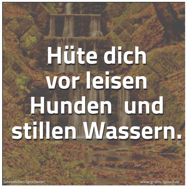 Quadratisches Spruchbild: Hüte dich vor leisen Hunden  und stillen Wassern.