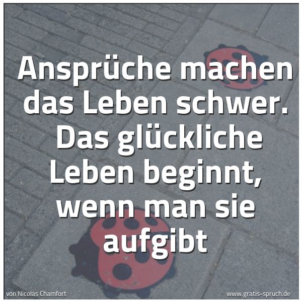 Quadratisches Spruchbild: Ansprüche machen das Leben schwer.  Das glückliche Leben beginnt, wenn man sie aufgibt