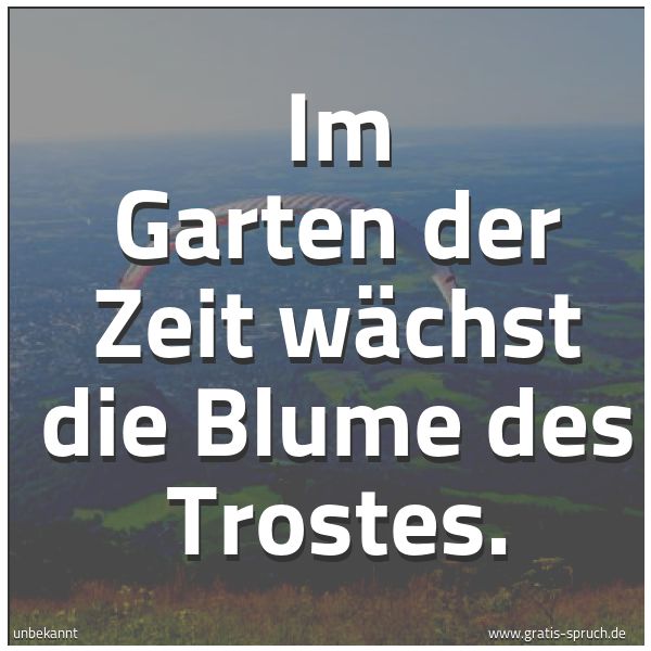 Quadratisches Spruchbild: Im Garten der Zeit wächst die Blume des Trostes.
