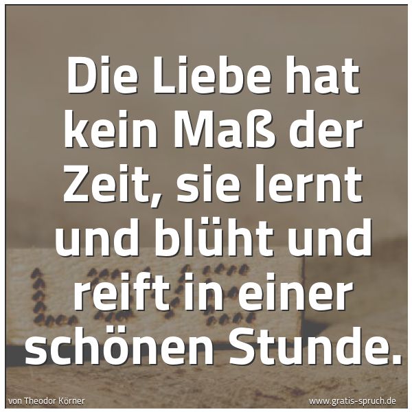 Quadratisches Spruchbild: Die Liebe hat kein Maß der Zeit, sie lernt und blüht und reift in einer schönen Stunde.