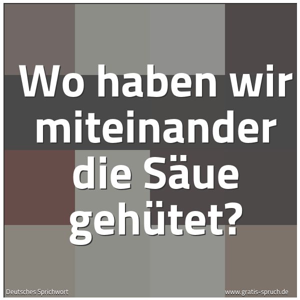 Quadratisches Spruchbild: Wo haben wir miteinander die Säue gehütet?