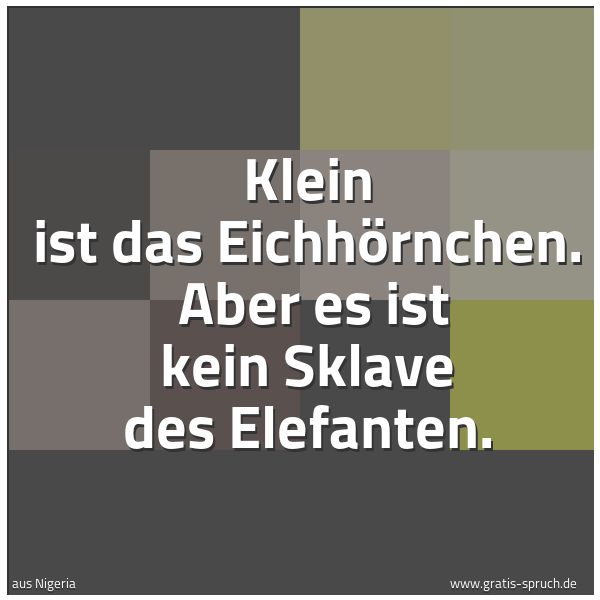 Quadratisches Spruchbild: Klein ist das Eichhörnchen.  Aber es ist kein Sklave des Elefanten.