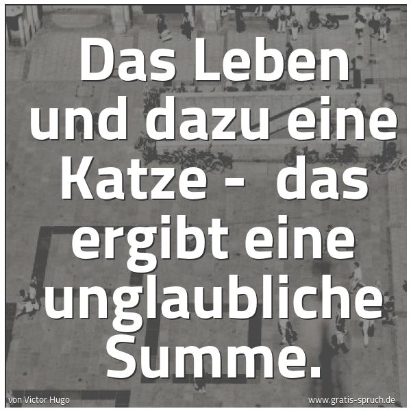 Quadratisches Spruchbild: Das Leben und dazu eine Katze -  das ergibt eine unglaubliche Summe.