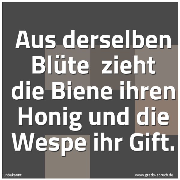 Quadratisches Spruchbild: Aus derselben Blüte  zieht die Biene ihren Honig und die Wespe ihr Gift.