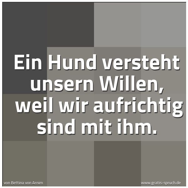 Quadratisches Spruchbild: Ein Hund versteht unsern Willen,  weil wir aufrichtig sind mit ihm.