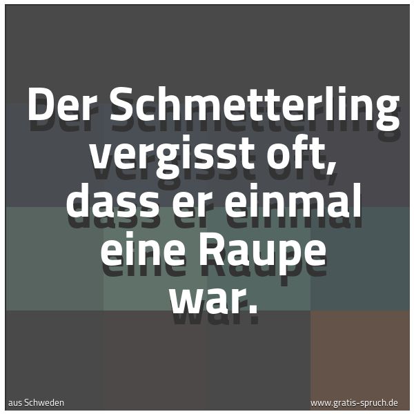 Quadratisches Spruchbild: Der Schmetterling vergisst oft, dass er einmal eine Raupe war.