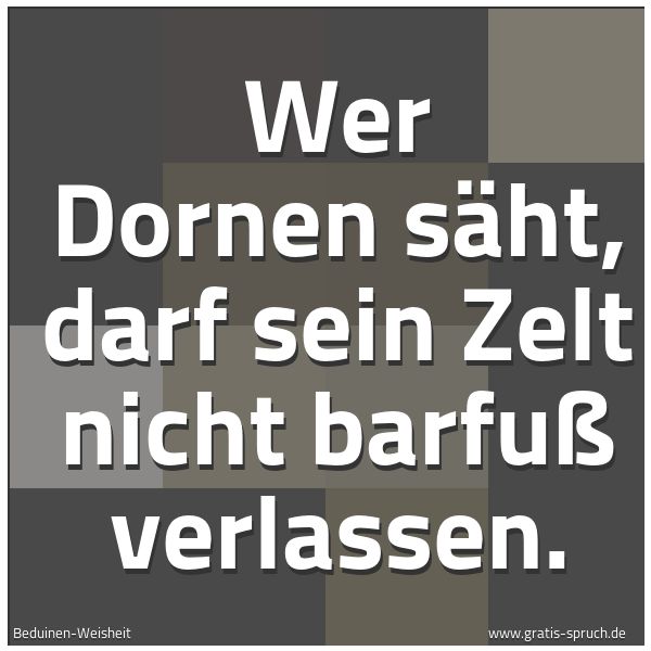 Quadratisches Spruchbild: Wer Dornen säht, darf sein Zelt nicht barfuß verlassen.