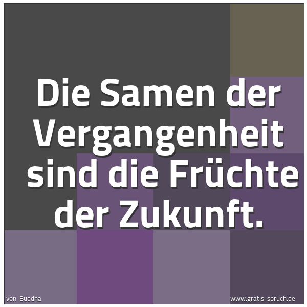 Quadratisches Spruchbild: Die Samen der Vergangenheit  sind die Früchte der Zukunft.