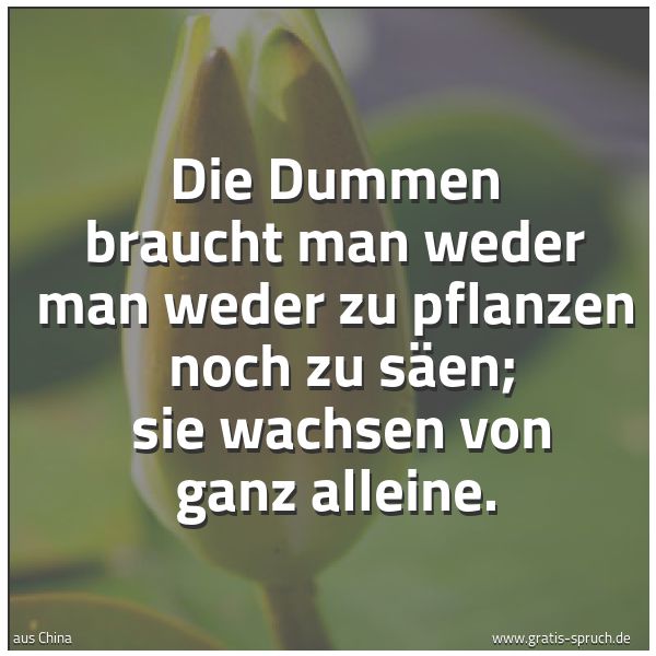 Quadratisches Spruchbild: Die Dummen braucht man weder man weder zu pflanzen  noch zu säen;  sie wachsen von ganz al …