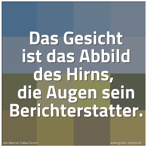 Quadratisches Spruchbild: Das Gesicht ist das Abbild des Hirns,  die Augen sein Berichterstatter.