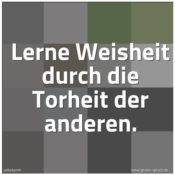 Quadratisches Spruchbild: Lerne Weisheit durch die Torheit der anderen.