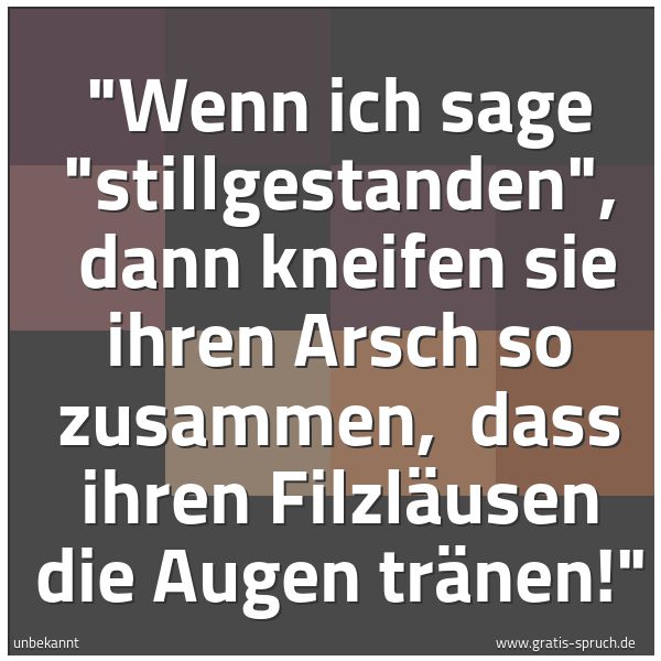 Quadratisches Spruchbild: "Wenn ich sage "stillgestanden",  dann kneifen sie ihren Arsch so zusammen,  dass ihren Fi …
