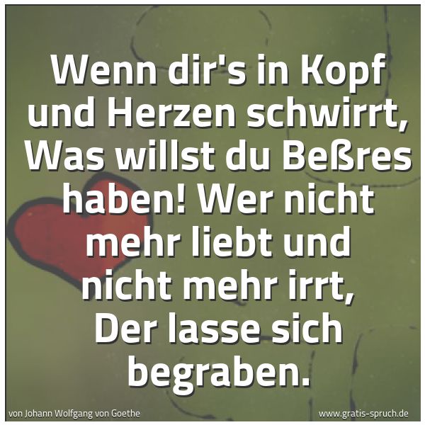 Quadratisches Spruchbild: Wenn dir's in Kopf und Herzen schwirrt, Was willst du Beßres haben! Wer nicht mehr liebt u …