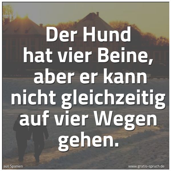 Quadratisches Spruchbild: Der Hund hat vier Beine,  aber er kann nicht gleichzeitig auf vier Wegen gehen.