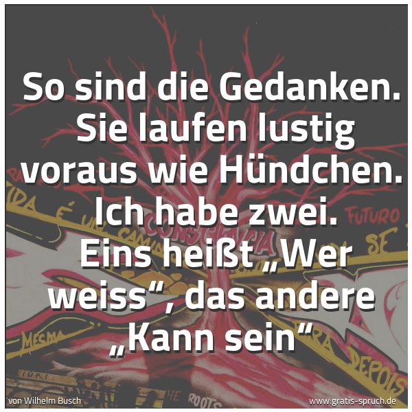 Quadratisches Spruchbild: So sind die Gedanken.  Sie laufen lustig voraus wie Hündchen.  Ich habe zwei.  Eins heißt  …